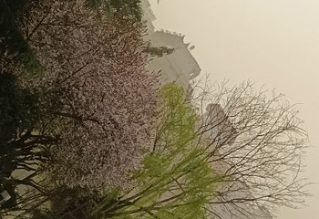 丰庆公园第 13 张图片