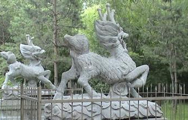 水师森林公园第 2 张图片