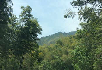 九宫山风景名胜区-石龙峡第 12 张图片