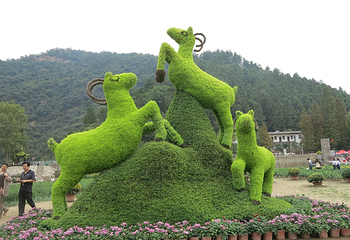 千菊百卉园（菊花文化节）第 15 张图片