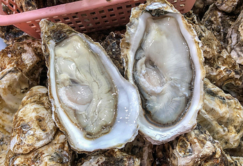 第一农贸市场第 19 张图片