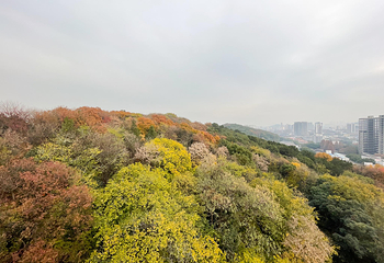 宝通禅寺第 20 张图片