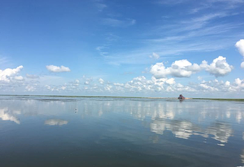 燕窝岛湿地生态旅游区第 8 张图片