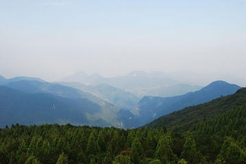 百山祖景区第 26 张图片