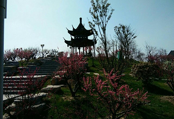 梅花湾第 43 张图片