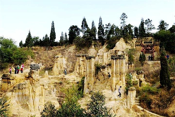 黄联土林第 10 张图片