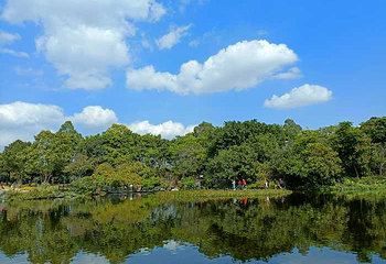 海珠国家湿地公园第 32 张图片