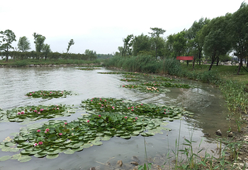 淮北南湖风景区第 19 张图片