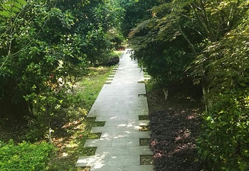 苏州旺山九龙潭风景区第 21 张图片