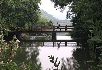 人间弥勒(雪窦寺)第 48 张图片