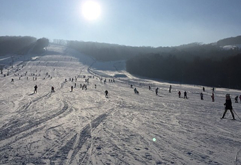 帽儿山滑雪场第 28 张图片