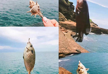 斜阳岛第 10 张图片