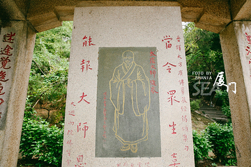 厦门园林植物园-五老峰第 33 张图片