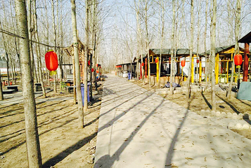 狐狸帐篷营地第 5 张图片