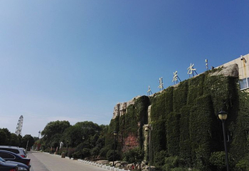 中台禅寺第 14 张图片