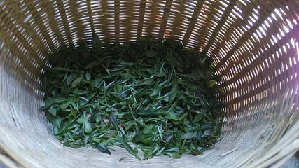 茶溪谷第 66 张图片