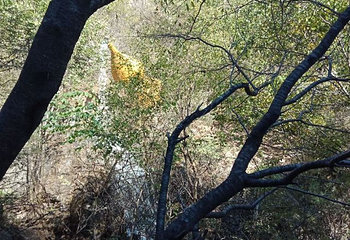 野三坡清泉山风景区第 26 张图片