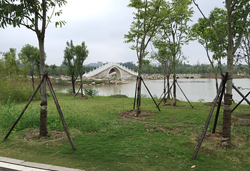 淮北南湖风景区第 7 张图片