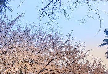 中国海洋大学(鱼山校区)第 8 张图片