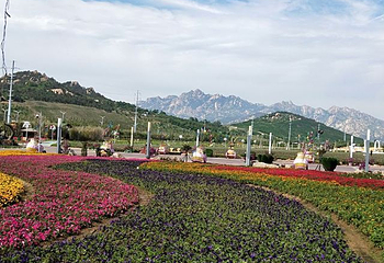 青岛西海岸生态观光园第 30 张图片