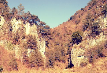 黄安坝高山牧场旅游度假区第 4 张图片
