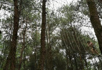 飞越丛林探险乐园第 14 张图片