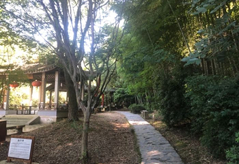 穹窿山景区第 123 张图片