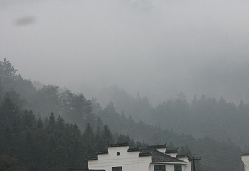 汪湖生态旅游区第 4 张图片