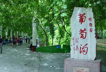 葡萄沟第 83 张图片