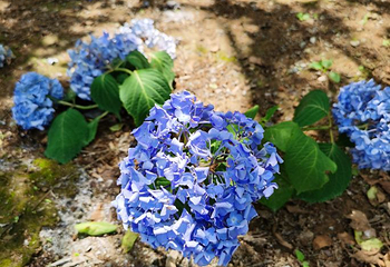 湘西猛洞河漂流第 21 张图片