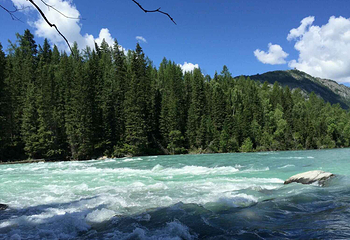 驼颈湾第 5 张图片