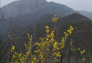 大鸿寨风景区第 42 张图片