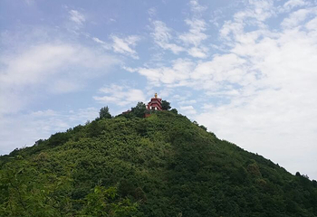 灵谷峰景区第 5 张图片