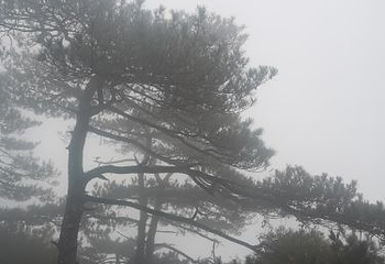 石牛山景区第 47 张图片