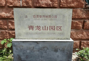 金花桫椤谷第 19 张图片