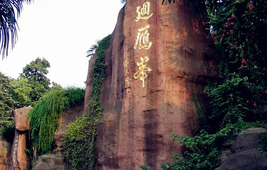 回雁峰第 11 张图片