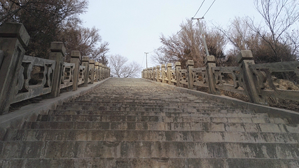 永登青龙山森林公园第 15 张图片