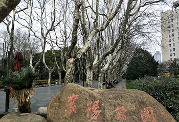 襄阳公园第 6 张图片