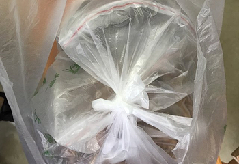 西双版纳南药园景区第 16 张图片