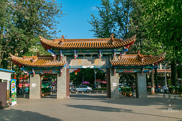 翠湖公园第 39 张图片