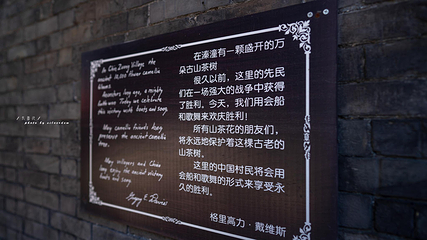 溱潼古镇第 58 张图片