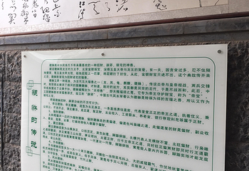 近日楼第 6 张图片