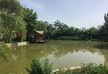 沣东荷苑第 20 张图片