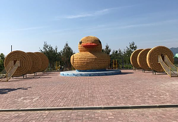大黄鸭生态园第 18 张图片