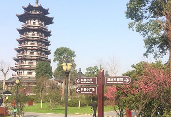 洋湖湿地公园第 26 张图片