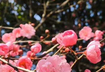 李白故居第 35 张图片