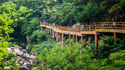 崂山九水游览区第 19 张图片