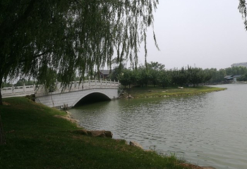 熊岳植物园第 13 张图片