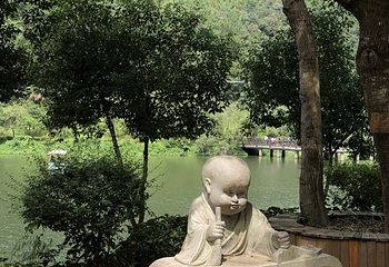 九龙谷景区第 44 张图片