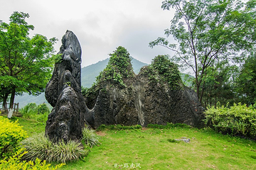 玉石林风景区第 40 张图片